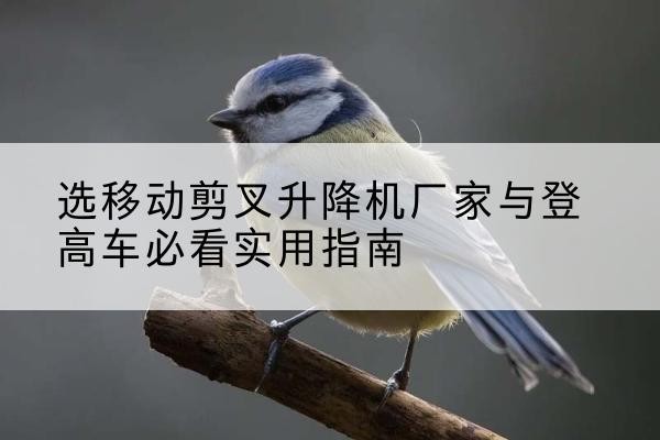 阿里电动升降机厂家-选移动剪叉升降机厂家与登高车必看实用指南