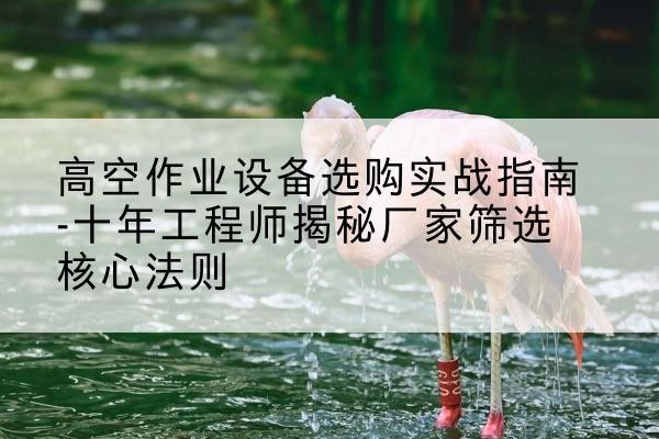 阿里剪叉式升降机厂家-高空作业设备选购实战指南-十年工程师揭秘厂家筛选核心法则