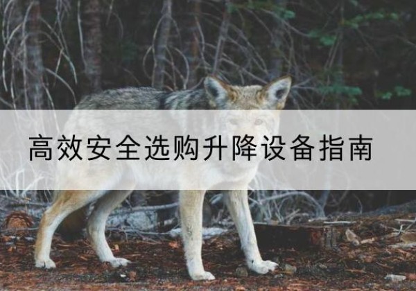 阿里升降货梯厂家推荐-*安全选购升降设备指南