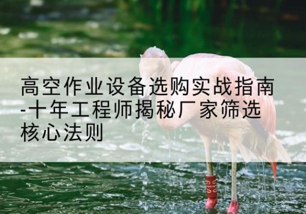 阿里剪叉式升降机厂家-高空作业设备选购实战指南-十年工程师揭秘厂家筛选核心法则